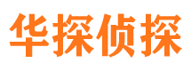 平湖侦探公司